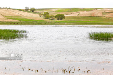 Quri Gol Lake