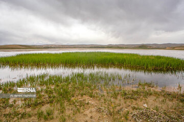 Quri Gol Lake