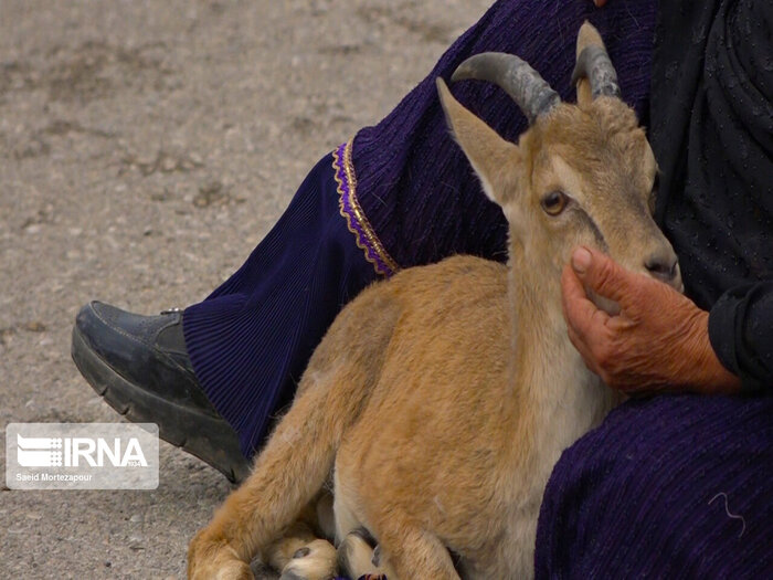 خبرهای خوب زیست محیطی از شهرستان مرودشت 