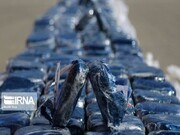 ۶۱۷ کیلوگرم مواد مخدر در مهریز یزد کشف شد