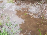 بیشترین میزان بارندگی استان اردبیل با ۶۴ میلیمتر در شهرستان نیر ثبت شد