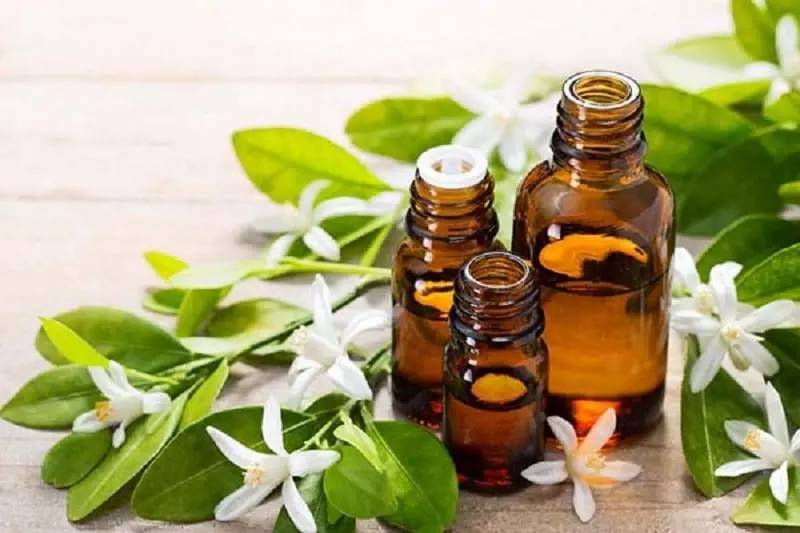 بهترین سوغاتیهای شیراز که میتوانید تهیه کنید