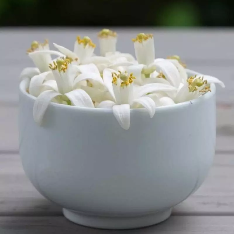 بهترین سوغاتیهای شیراز که میتوانید تهیه کنید