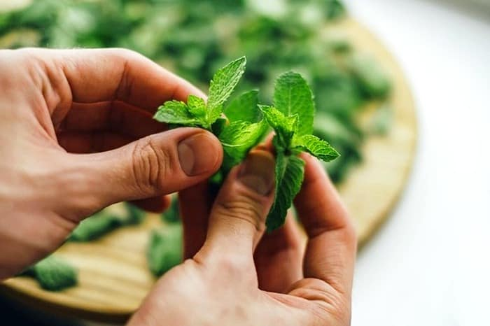 آشنایی با سبزیهای مورد نیاز برای انواع دلمه