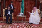 Die Möglichkeiten zur Stärkung der wirtschaftlichen Zusammenarbeit zwischen Iran und Saudi-Arabien untersucht
