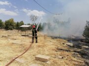 آتش سوزی قبرستان تاریخی شیراز مهار شد