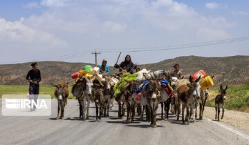 برخورد با عشایر غیرمجاز در حوزه سد کلان ملایر