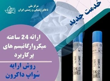 سویه‌های پرکاربرد مرکز ذخایر ژنتیکی در کمترین زمان تحویل محققان می‌شود