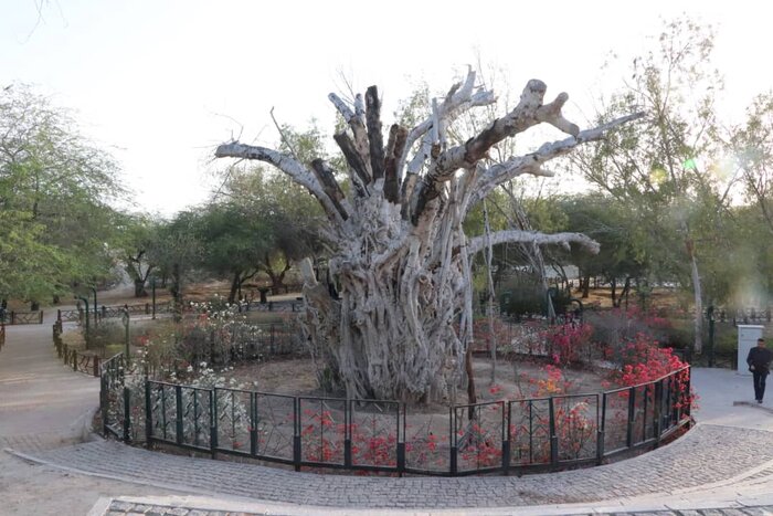 شهر تاریخی «حریره» کیش در یونسکو ثبت موقت شد