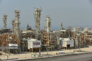 انتقاد مدیرکل منابع طبیعی از صنایع مستقر در جنوب استان بوشهر
