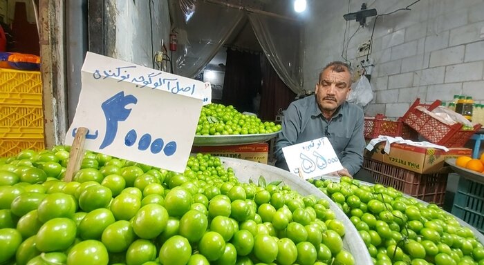 شهر کوچک نوکنده؛ پایتخت تولید آلوچه در شمال ایران 