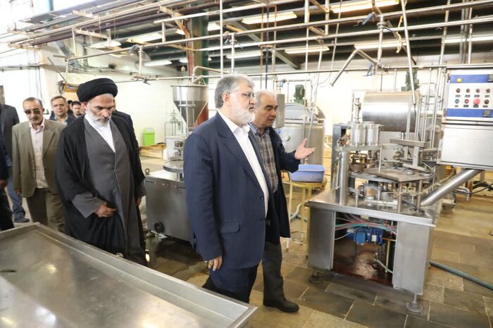 استاندار آذربایجان غربی از چند واحد تولیدی در سلماس بازدید کرد