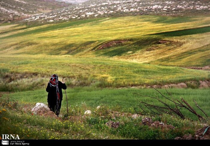 بیش از سه هزار روستایی در همدان عضو صندوق بیمه اجتماعی شدند