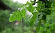  بارش‌ها در اردبیل ۲۳درصد کاهش یافت