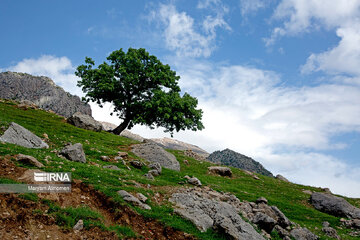 Beauty of nature in spring in western Iran