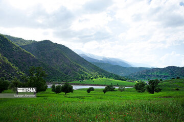 Beauty of nature in spring in western Iran