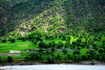 Beauty of nature in spring in western Iran