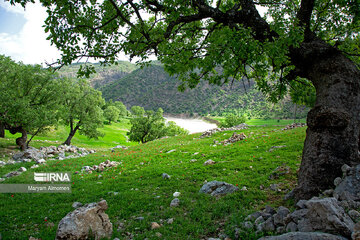 Beauty of nature in spring in western Iran