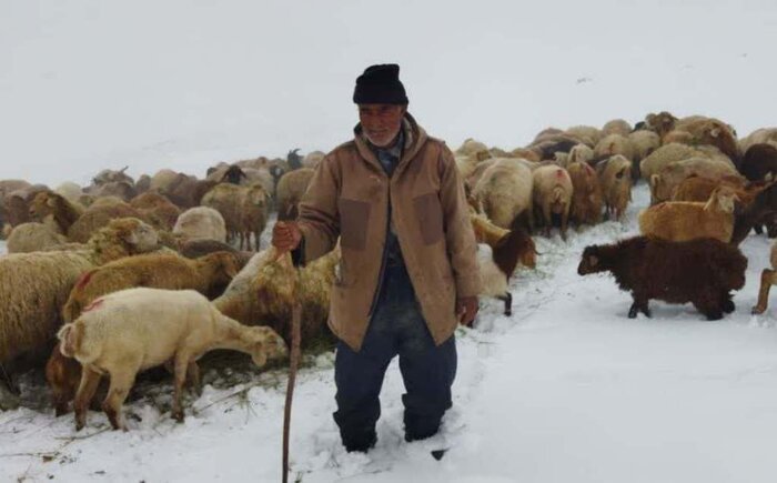  امدادرسانی به ۵۶۶ نفر از عشایر گرفتار در برف و کولاک