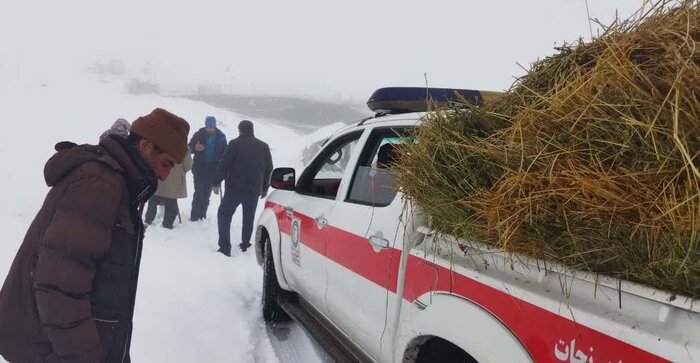 امدادرسانی به ۵۶۶ نفر از عشایر گرفتار در برف و کولاک