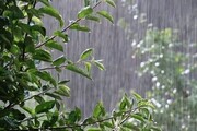 پیش بینی هواشناسی از احتمال بارش باران در برخی مناطق یزد
