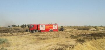 آتش‌سوزی مزارع بین روستایی گناوه مهار شد