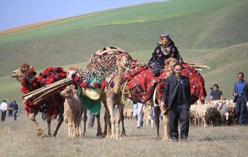 طنین آواز کوچ در کوه و دشت لرستان 