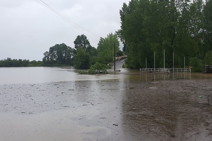 فیلم| آبگرفتگی معابر و مزارع آستارا در پی بارش شدید باران