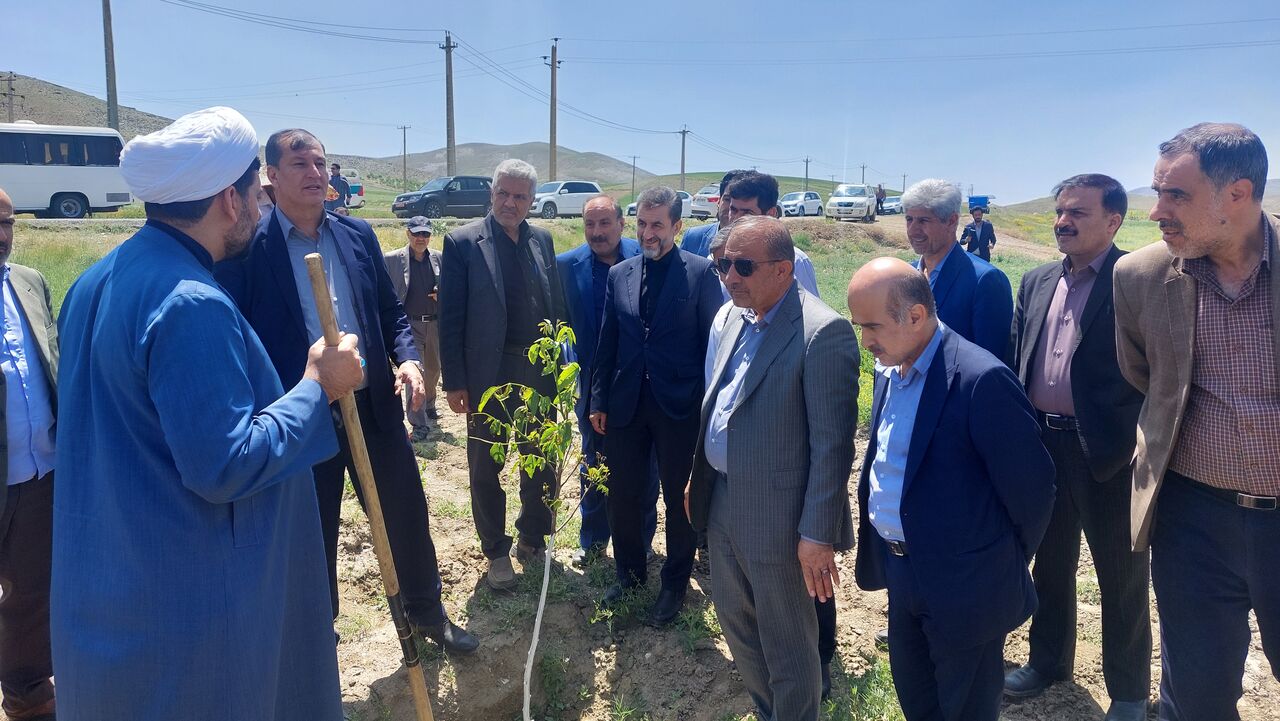 معاون وزیر جهاد کشاورزی: سرمازدگی در برخی استان‌های کشور بسیار جدی است