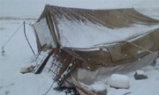 خسارت برف به عشایر اهر ۲۰ میلیارد تومان برآورد شد