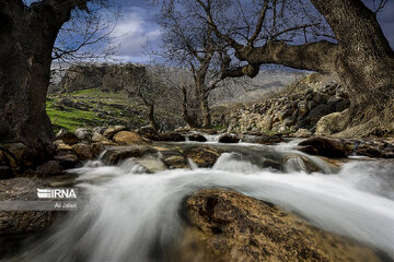 Iran : la province d’Ilam en 4 saisons