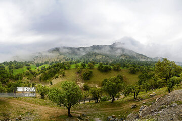 Iran : la province d’Ilam en 4 saisons