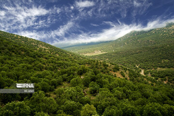 Iran : la province d’Ilam en 4 saisons