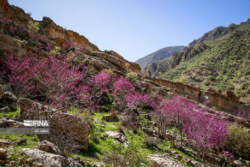 Iran : la province d’Ilam en 4 saisons