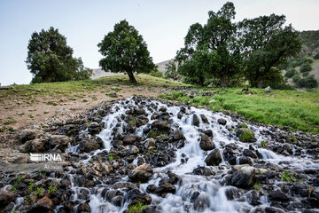 Iran : la province d’Ilam en 4 saisons