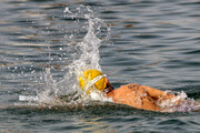 Sea swimming competition in Persian Gulf