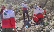 هلال احمر: هشت نفر مفقودی کوه‌های کرمان نجات یافتند