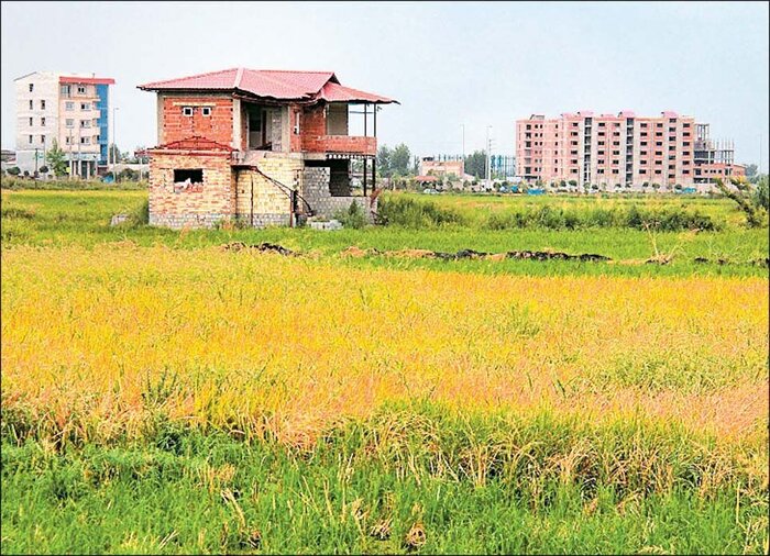 جنگلخواران هیرکانی