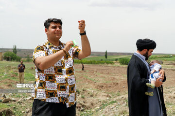 Festival des cerfs-volants à Zanjan