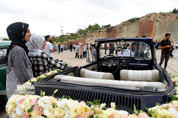 Un festival de Volkswagen à Shiraz