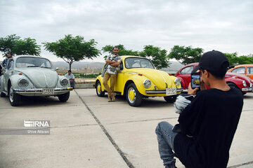 Un festival de Volkswagen à Shiraz