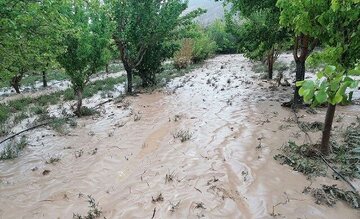 ۱۲ روستای شهرستان اهر را سیل فراگرفت