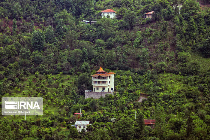 جنگلخواران هیرکانی