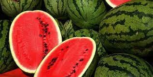 Watermelon on top of Iran’s list of agri-food exports