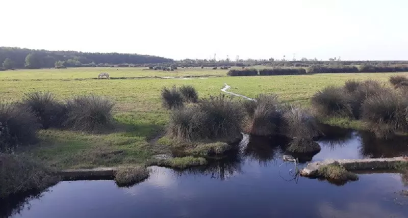 پارک ملی بوجاق؛ طبیعت بکر و دست نخورده گیلان