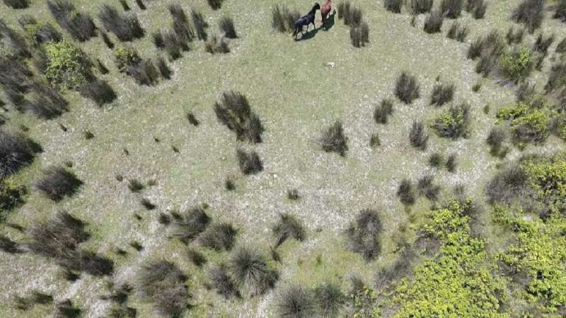 پارک ملی بوجاق؛ طبیعت بکر و دست نخورده گیلان