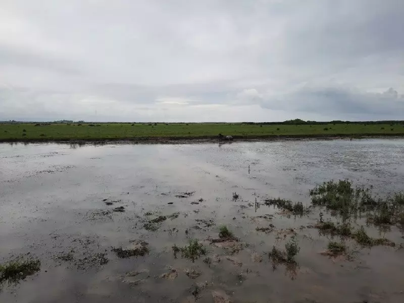 پارک ملی بوجاق؛ طبیعت بکر و دست نخورده گیلان