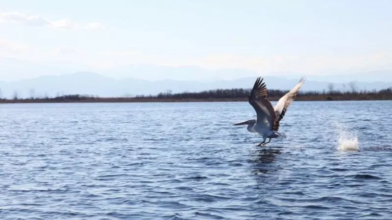 پارک ملی بوجاق؛ طبیعت بکر و دست نخورده گیلان