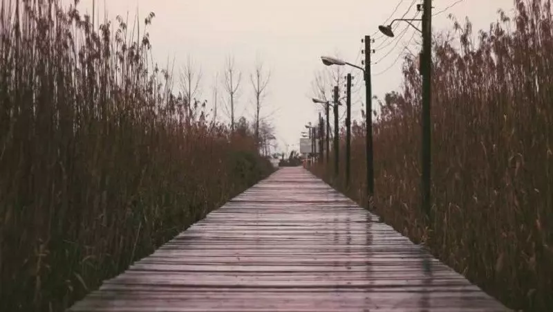 پارک ملی بوجاق؛ طبیعت بکر و دست نخورده گیلان