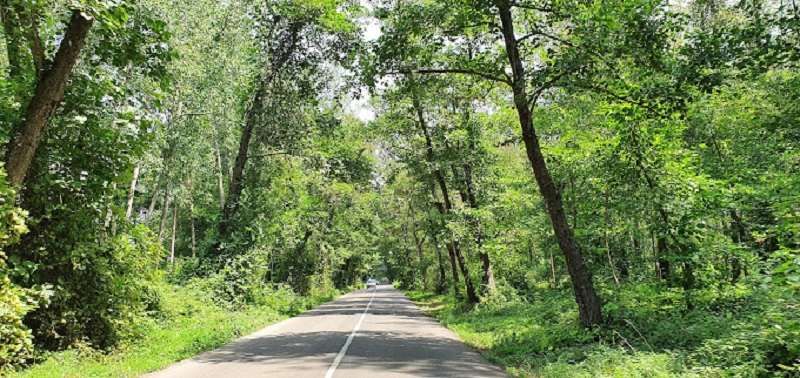 پارک ملی بوجاق؛ طبیعت بکر و دست نخورده گیلان